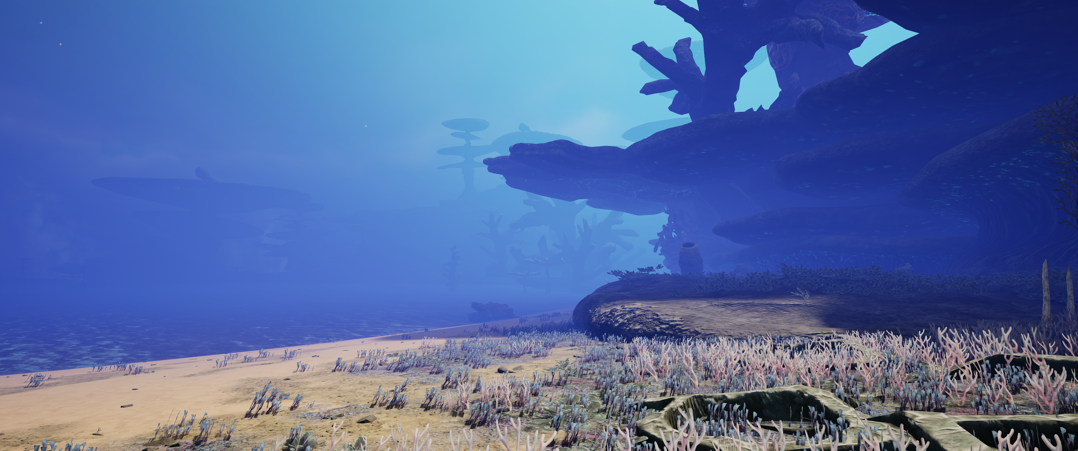 lizard-953-e-12.png