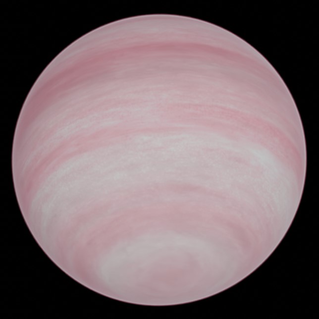 Nereus