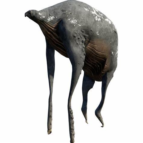 sea-elephant.jpg